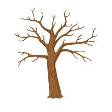 Image result for Required Parameters Code Example
