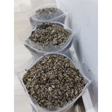 1L Well Draining Cactus and Succulent Soil Potting Mix: Sand, Silica ...