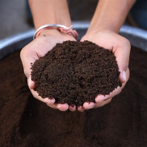 Dev Organics 100% Organic Vermicompost Fertilizer Manure For Plants - 5 ...