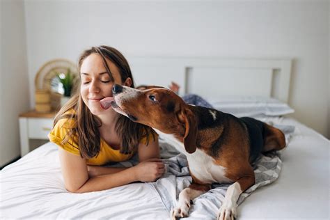 Do Dogs Like Kisses and Hugs? Pet Experts Explain | Trusted Since 1922
