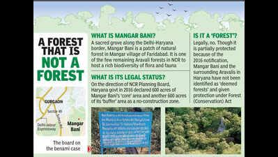 In Mangar ‘forest’, two I-T dept attachment notices spring up | Gurgaon ...