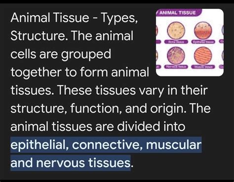 describe the structure of tissues in animals - Brainly.in