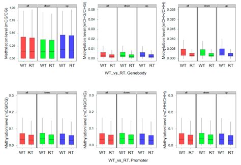 Substantial Epigenetic Variation Causing Flower Color Chimerism in the ...
