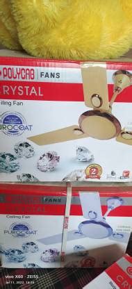 Polycab 8279335306 1430 mm 3 Blade Ceiling Fan Price in India - Buy ...