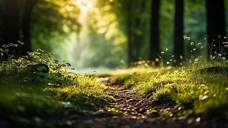 Image result for Background Images for JavaScript