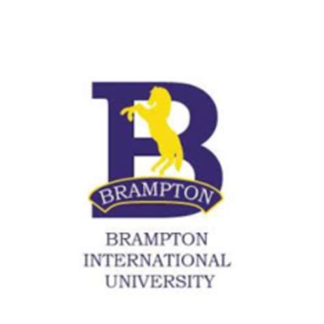 Contact Us - ICCDR | International Commission of Culture and Diplomatic ...