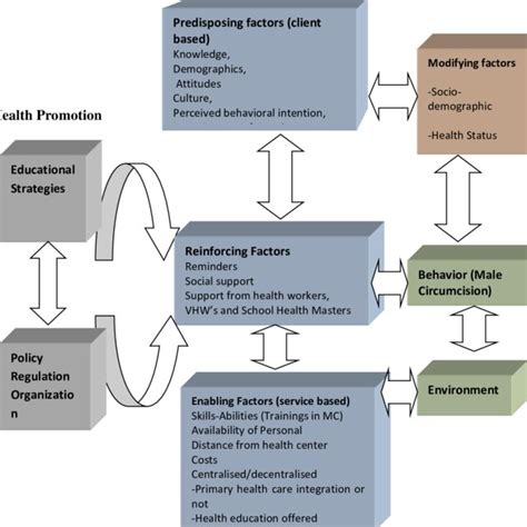 Image result for PRECEDE-PROCEED Model Phase 2 Example