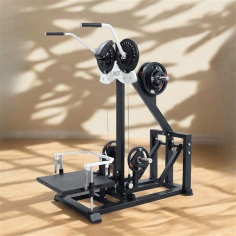 Standing Side Lateral / Side Shoulder Multi Flight Machine 2in1 (Flex ...