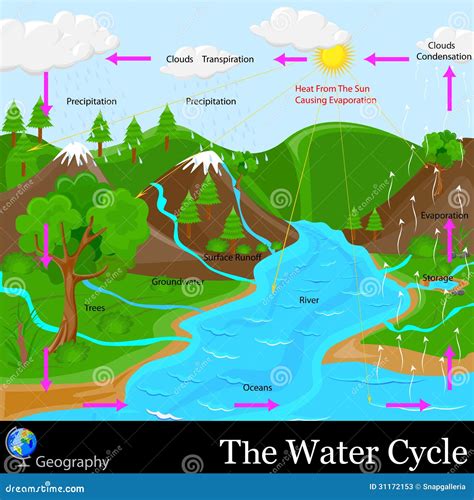 Water Cycle Vector Illustration. Labeled Earth Hydrologic Process Explanation | CartoonDealer ...