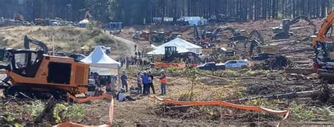 Image result for Logging Shows