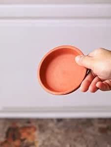 The Handicraftian Exclusive Terracotta Modern Plate Shape Planter for ...