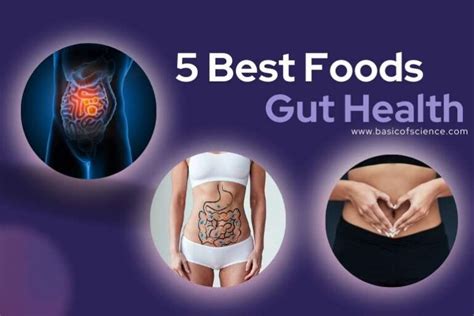 Basic Science 的图像结果