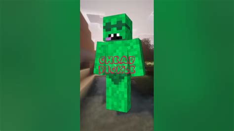 Image result for Cheeppickle Minecraft Skin