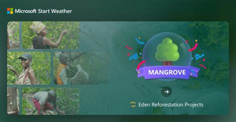 Local Weather Daily Forecasts, Radar Maps, Hurricane Updates, and ...