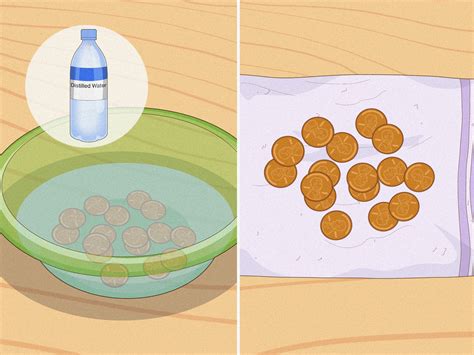 Image result for Money Machine Clean