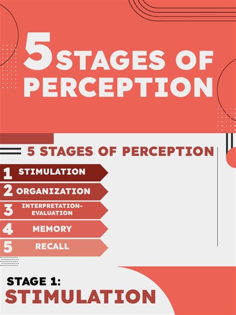 Perception Process Steps Image 的图像结果