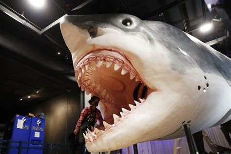 世界十大最恐怖鲨鱼 大白鲨仅第3第1凶猛无比_探秘志