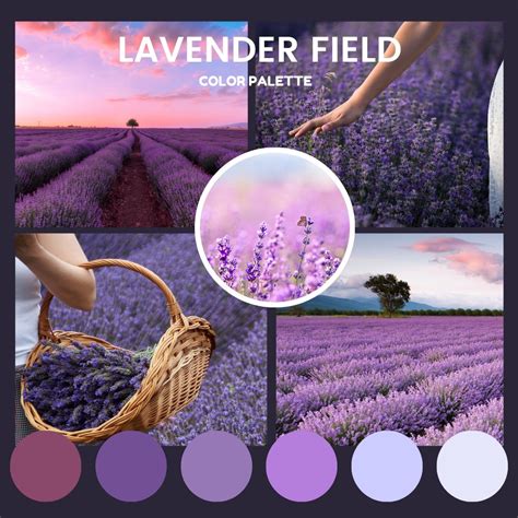 Lavender Blue color palettes - colorxs.com