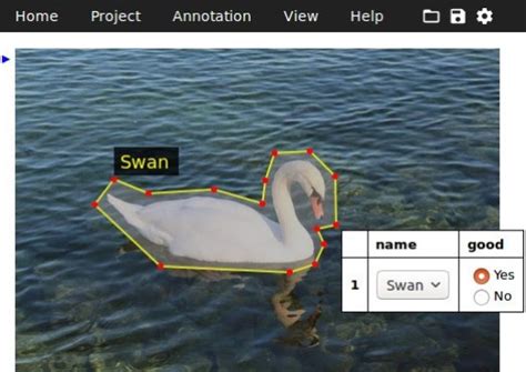 Image result for Annotation Tool in Deep Learning
