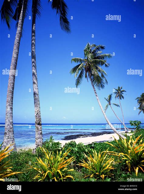 'Return to Paradise' Lefaga Beach, Upolu Island, Samoa Stock Photo - Alamy