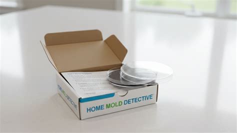 Why DIY Mold Test Kits Are a Risky Choice for Your Home