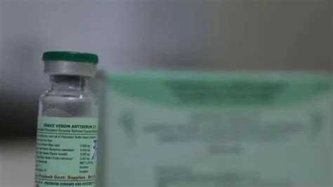 Pharmaceutical Injection - Anti Snake Venom Trader - Wholesaler ...