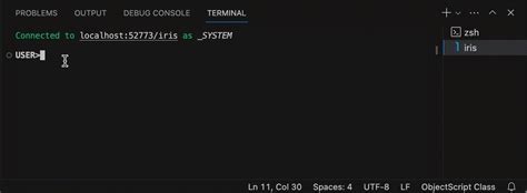 Visual Studio Code Script 的图像结果