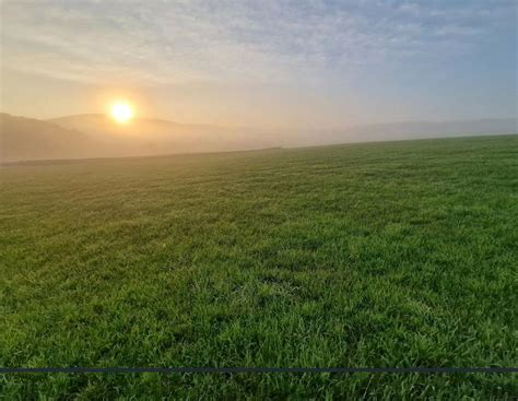Landwirt Bützler: Büroarbeit, Regen, Polterabend | agrarheute.com