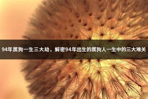 “华人与狗不得入内”竟是谣言？源于公园外一公告，原句是这样的