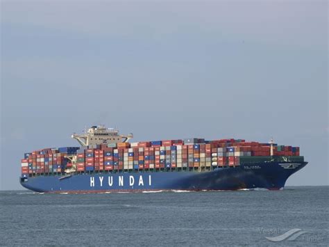MSC ELAINE, Container Ship - Details and current position - IMO 9393321 ...