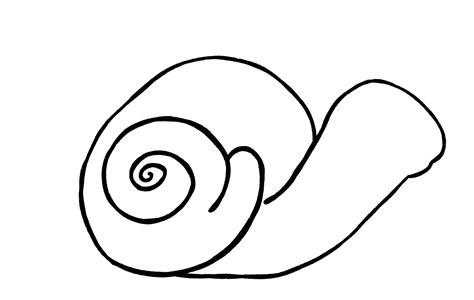 Image result for Snail Shell Drawing