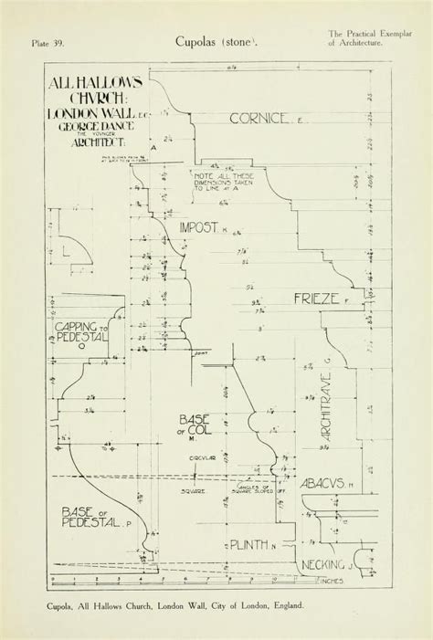 The nervous system : Edelson, Edward, 1932- : Free Download, Borrow, and Streaming : Internet Archiv