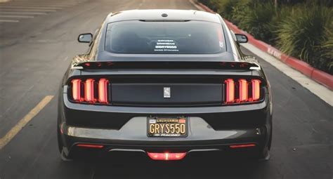 Image result for License Plate Frame Design