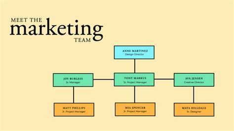 Image result for Org Chart Examples
