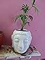 GrowKaro Air Purifying Live Schefflera Green Plant with White Metal Pot ...
