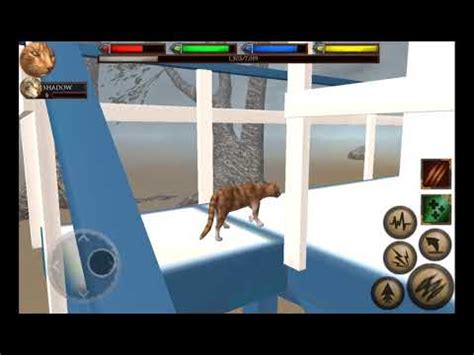 Image result for Ultimate Cat Simulator Tips