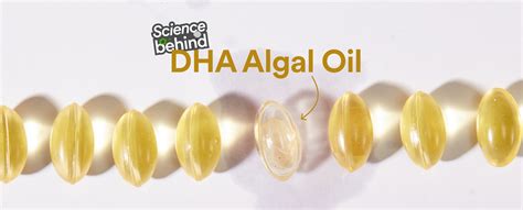 The Science behind DHA algal oil | Origins Nutra