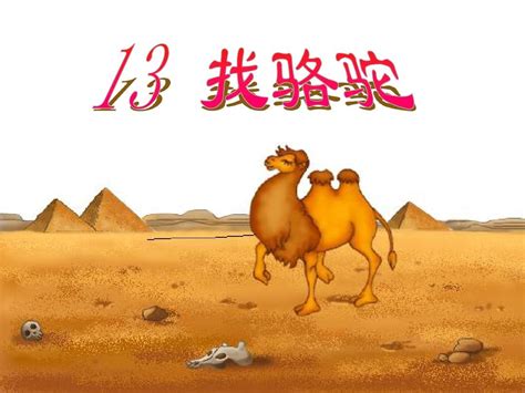 骆驼摄影图__家禽家畜_生物世界_摄影图库_昵图网nipic.com