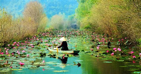 6,439 Cheap Flights from New Delhi to Hanoi (DEL - HAN) | KAYAK