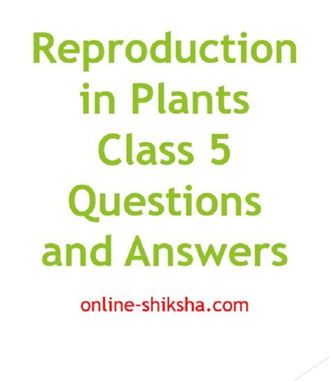 Image result for Vegetative Reproduction Class 5 Activity