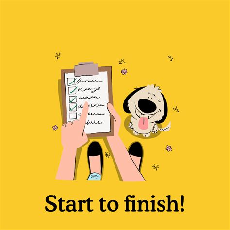 Puppy development stages: A guide