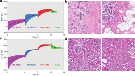 Tissue Processing Protocol 的图像结果