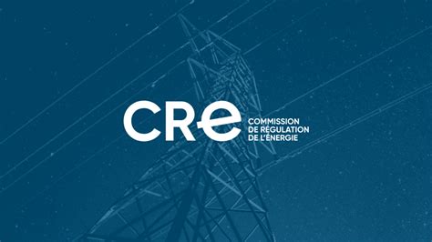 Image result for D Programme