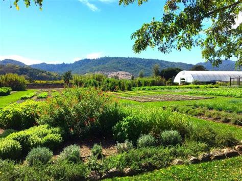 10 Best Places to Visit in Napa - TripAdvisor