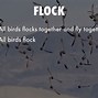 Image result for flicked