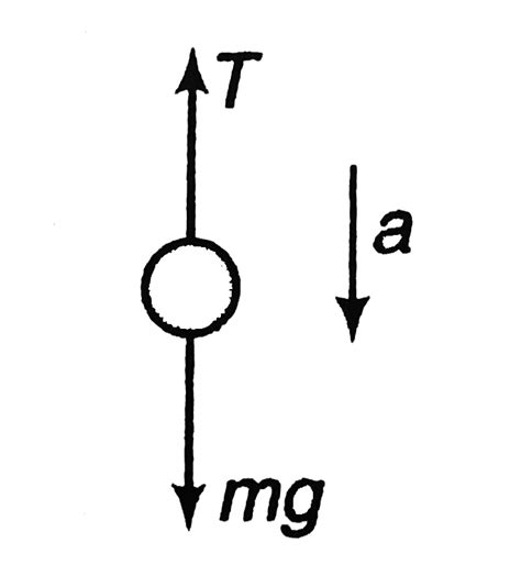 At what minimum acceleration should a monkey slide a rope whose ...