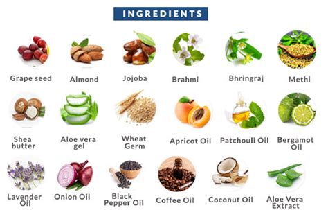 Buy 100% Pure & Natural Beard Growth Oil For Men | Indus valley – Indus ...