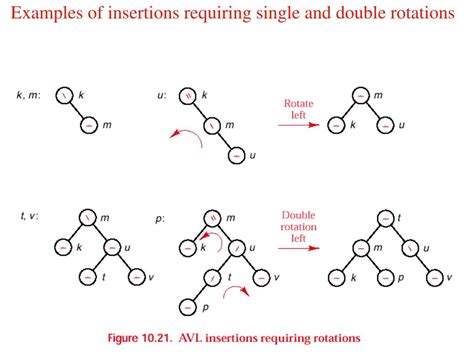 Single Rotation AVL Tree 的图像结果