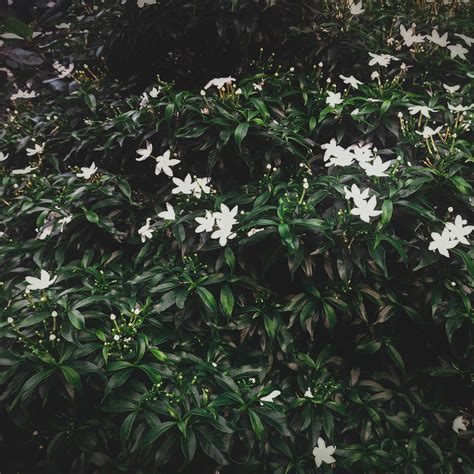 Why is wave optics the way it is. Other than that,... - study blurred