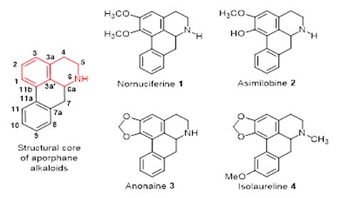 Extraction of Alkaloids Using Ultrasound from Pulp and By-Products of ...
